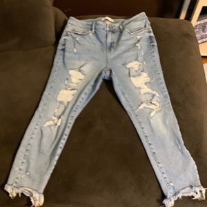 Judy Blue Jeans 16W